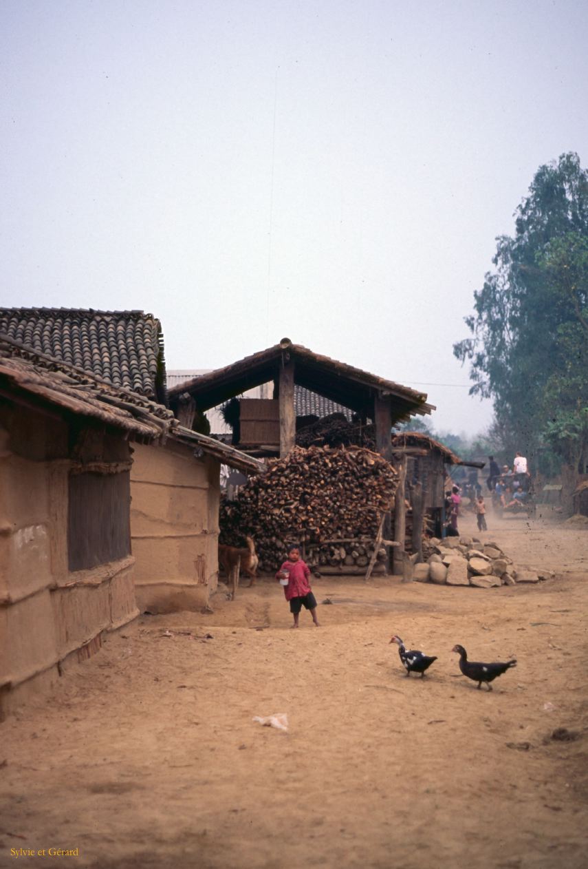 Teraï parc Chitwan village Tharu Nepal 1993-151