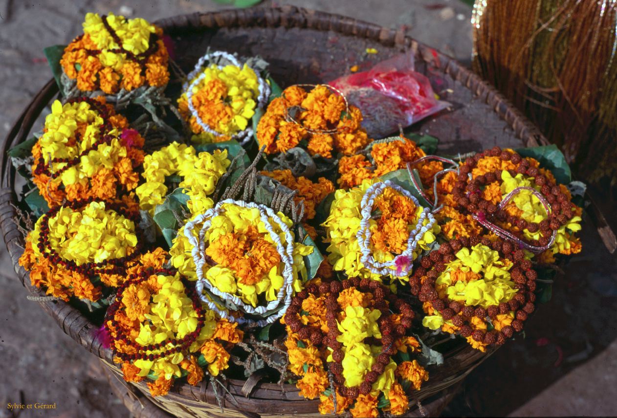 Katmandou le quartier de Thamel Nepal 1993-052