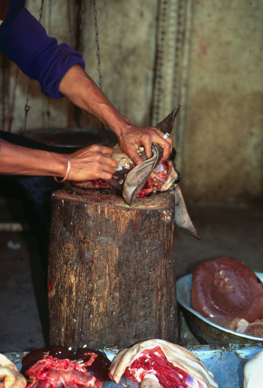 Katmandou quartier Thamel Nepal 1993-095