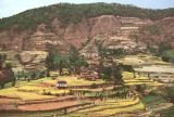 Sangkhu Namo Buddha sur la route des cultures en terrasse Nepal 1993-217