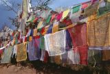 Sangkhu Namo Buddha Trangu Tashi Yangtse Monastery Nepal 1993-207