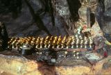 Sangkhu Namo Buddha Trangu Tashi Yangtse Monastery Nepal 1993-209