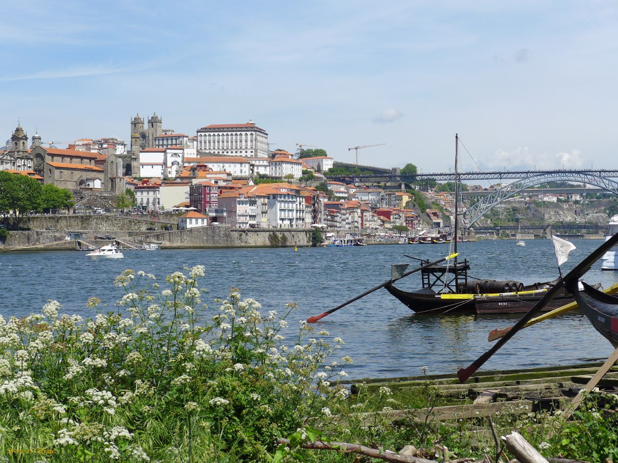 000 Vila Nova de Gaia le Douro et les bateaux  P1360918