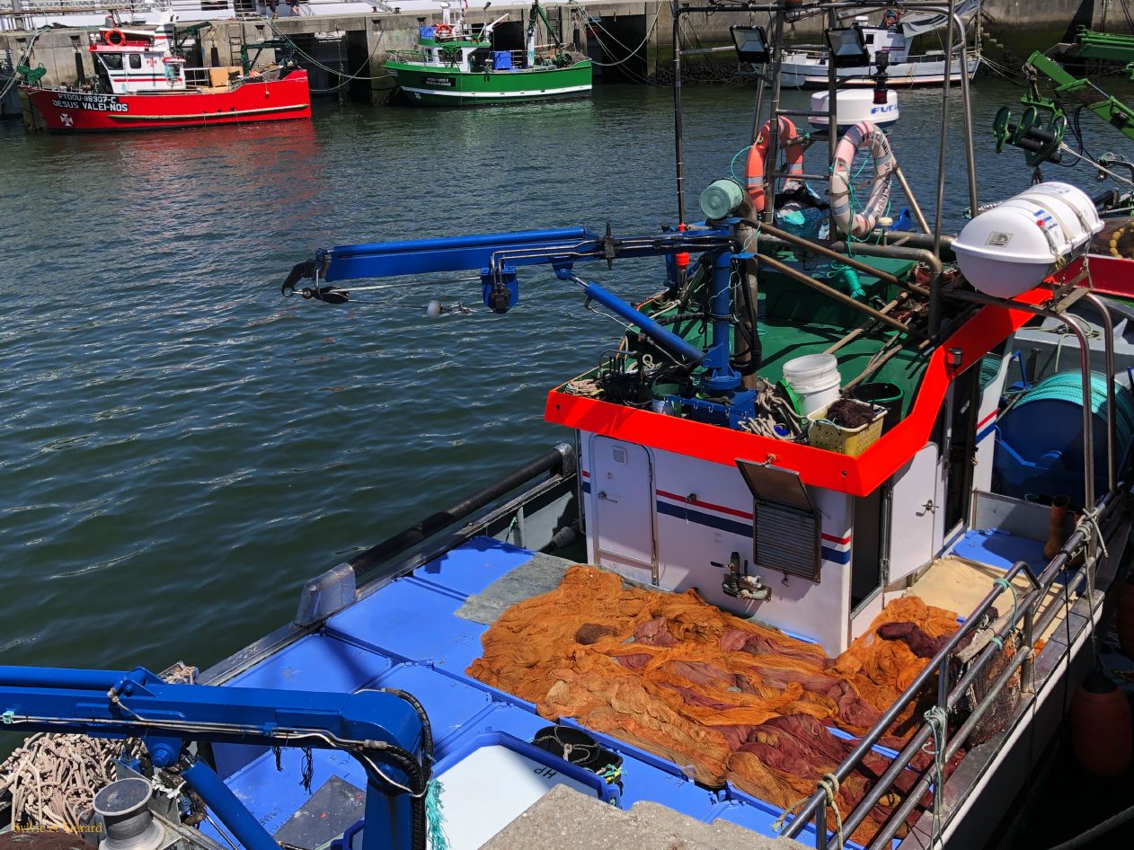 033 Porto Afurada port et bateaux  IMG_7432