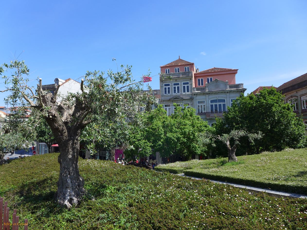 050  Porto Clerigos jardim das Oliveiras  P1380004