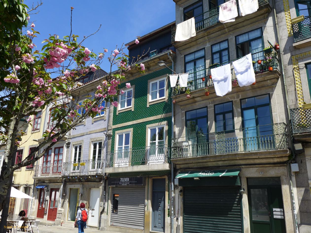 054 Porto Clerigos jardim da Cordoaria et alentours  P1380033