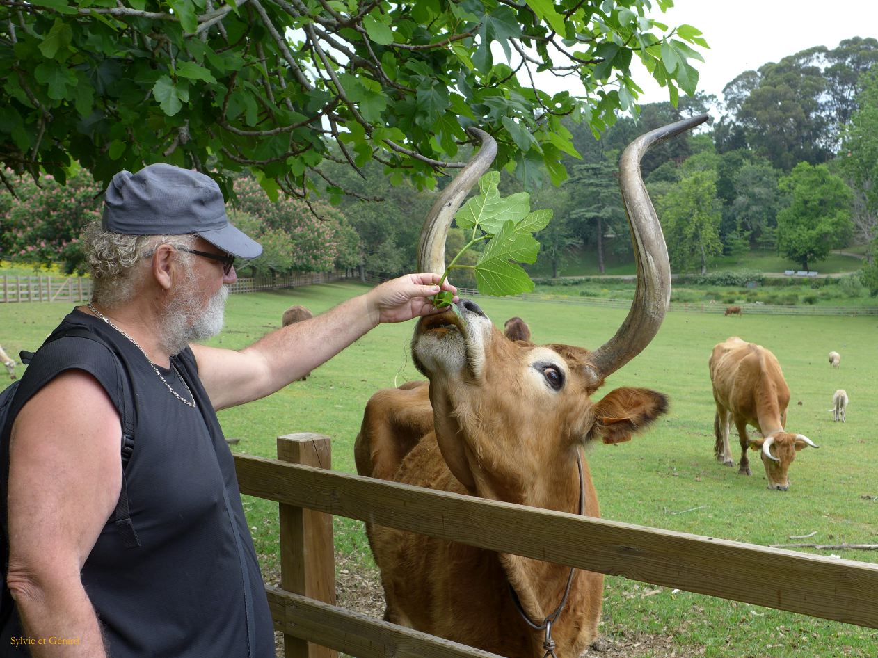 070 Porto Foz Fundation Serralves la ferme  P1380179