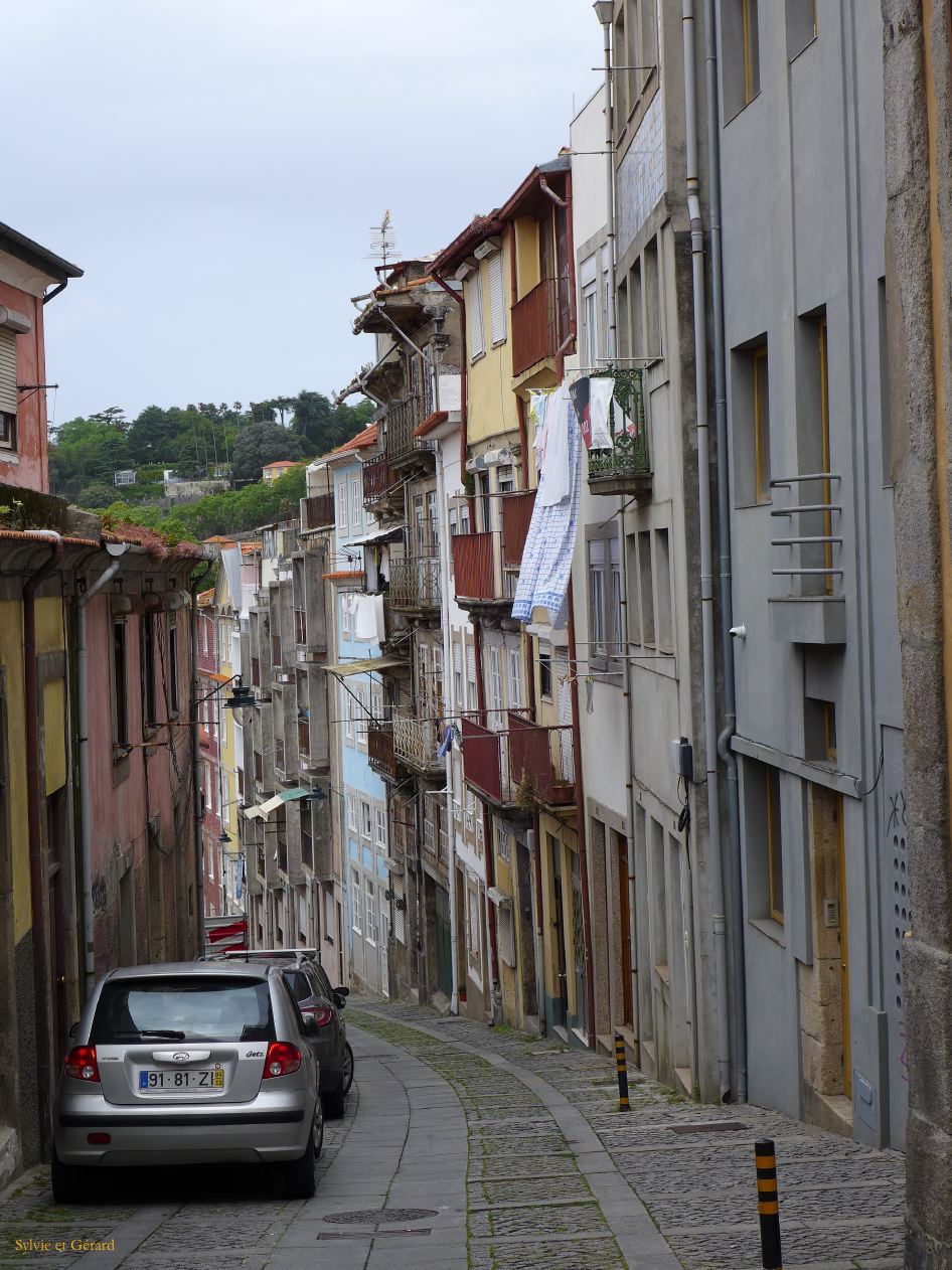 089 Porto de Clerigos au Douro  P1380249
