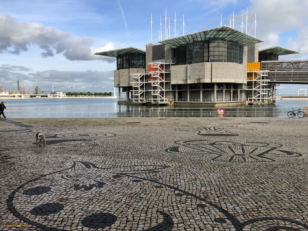 74 Lisbonne Parque das Naçoes 