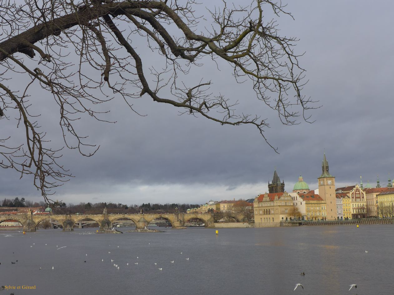 037 Prague Mala Strana île Kampa vue sur le pont Charles 