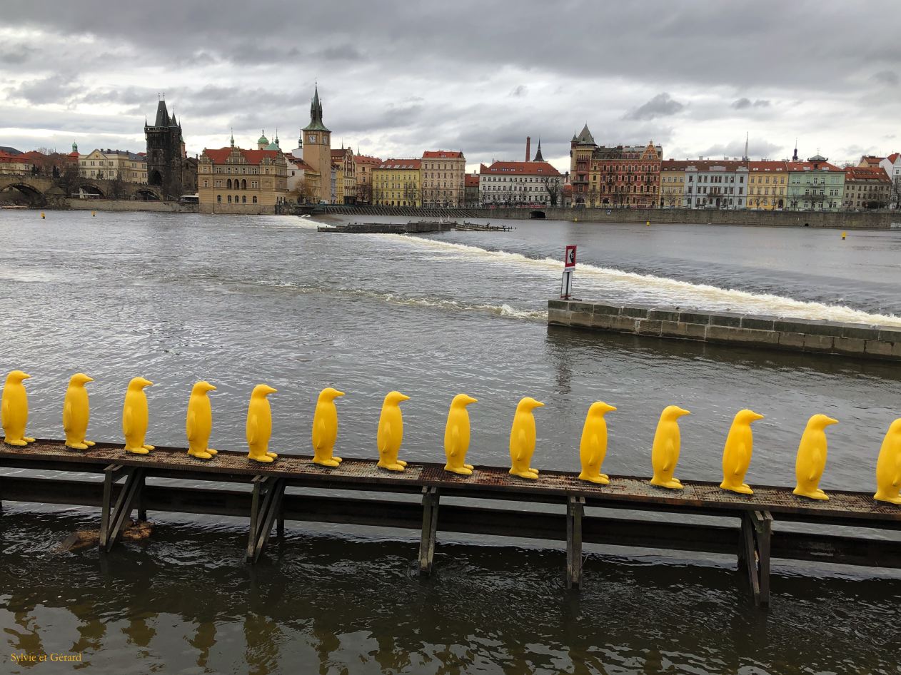 043 Prague Mala Strana musée Kampa - extérieur 