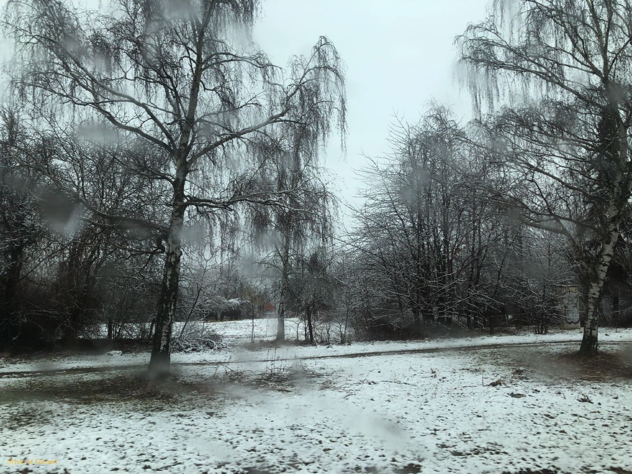 098 Prague départ pour l'aéroport sous la neige  