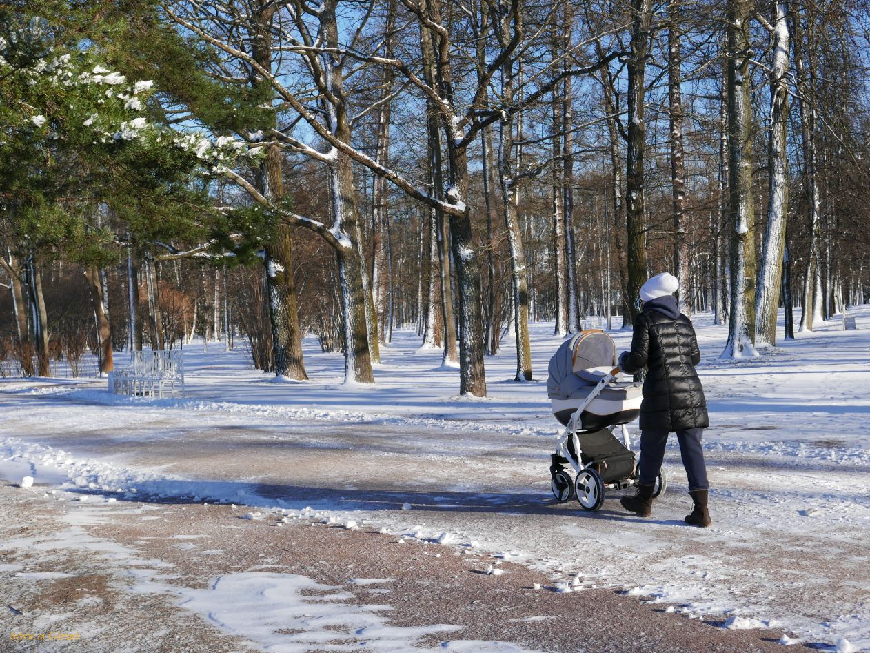 52 Pouchkine Palais de Catherine les jardins 