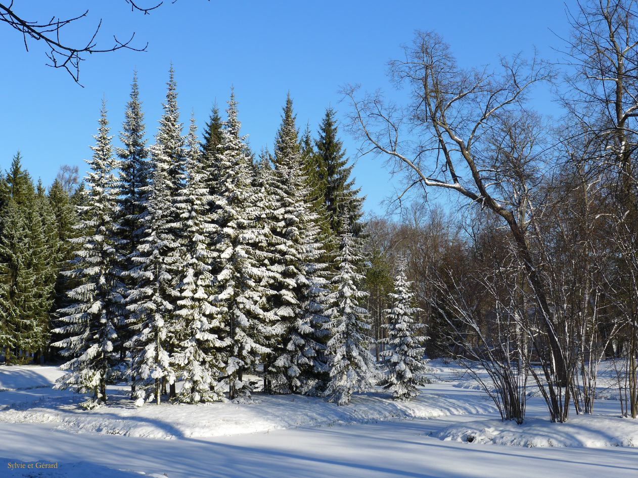 53 Pouchkine Palais de Catherine les jardins 