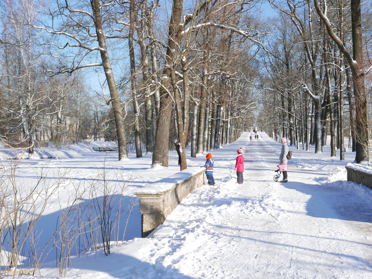 56 Pouchkine Palais de Catherine les jardins 