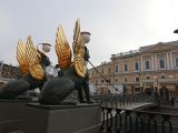 94 Saint Pétersbourg canal Griboïedov Bankovsky Most avec ses griffons 