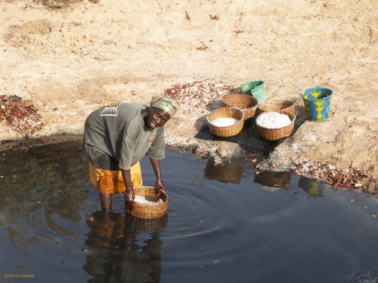 E 09 Le Sine Saloun les salins