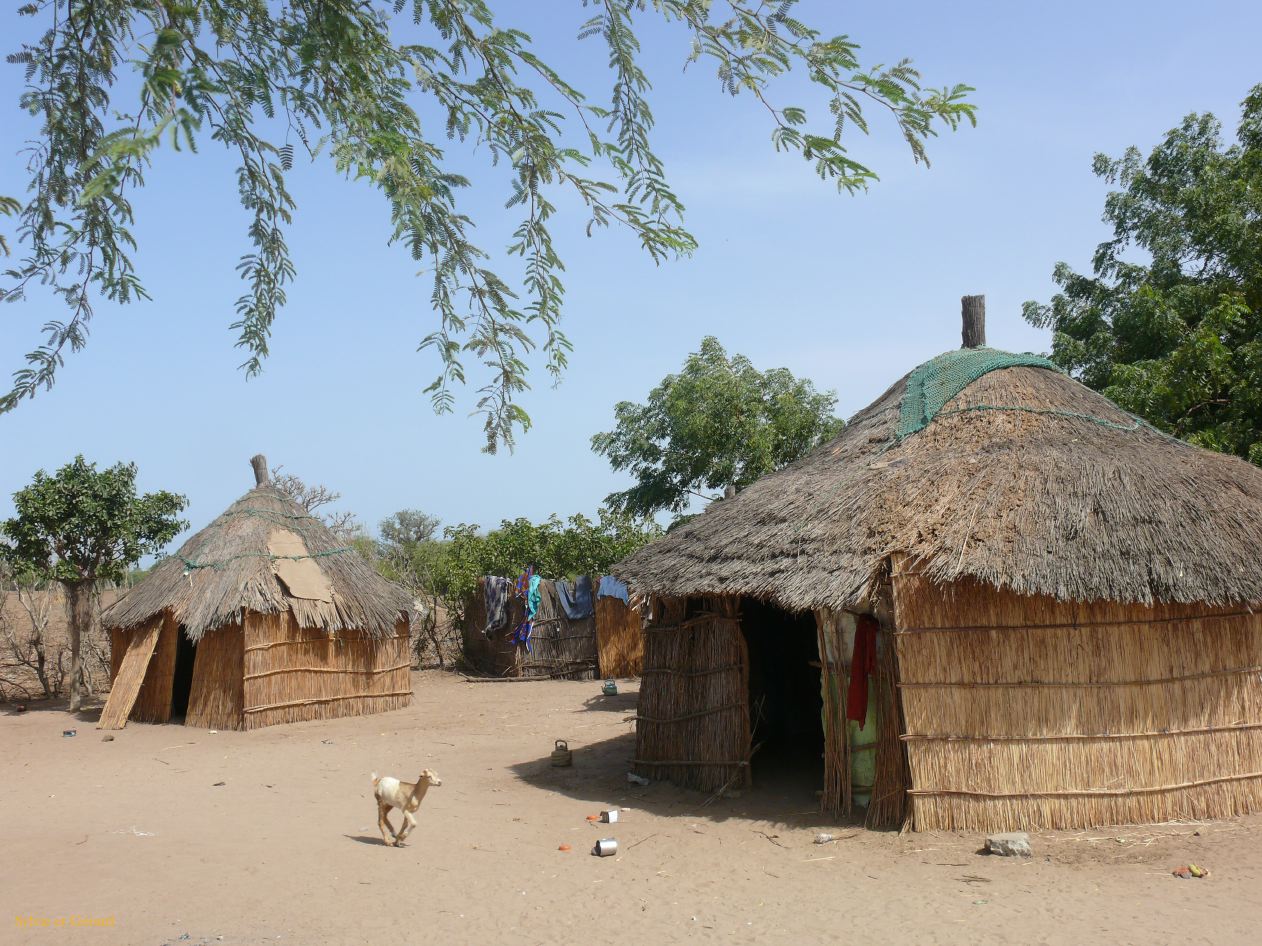 F 01 Nianing dans un village