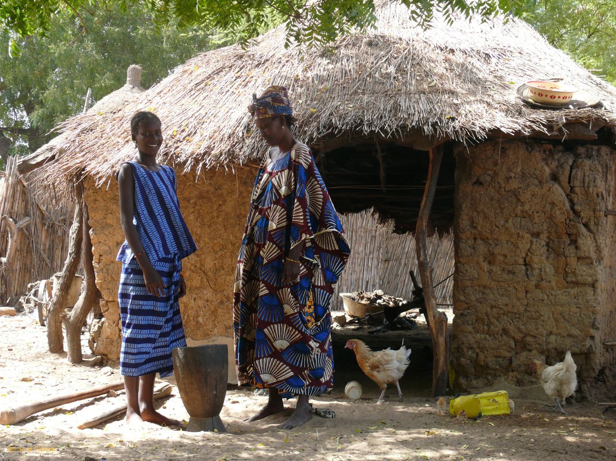 F 13 Nianing villages