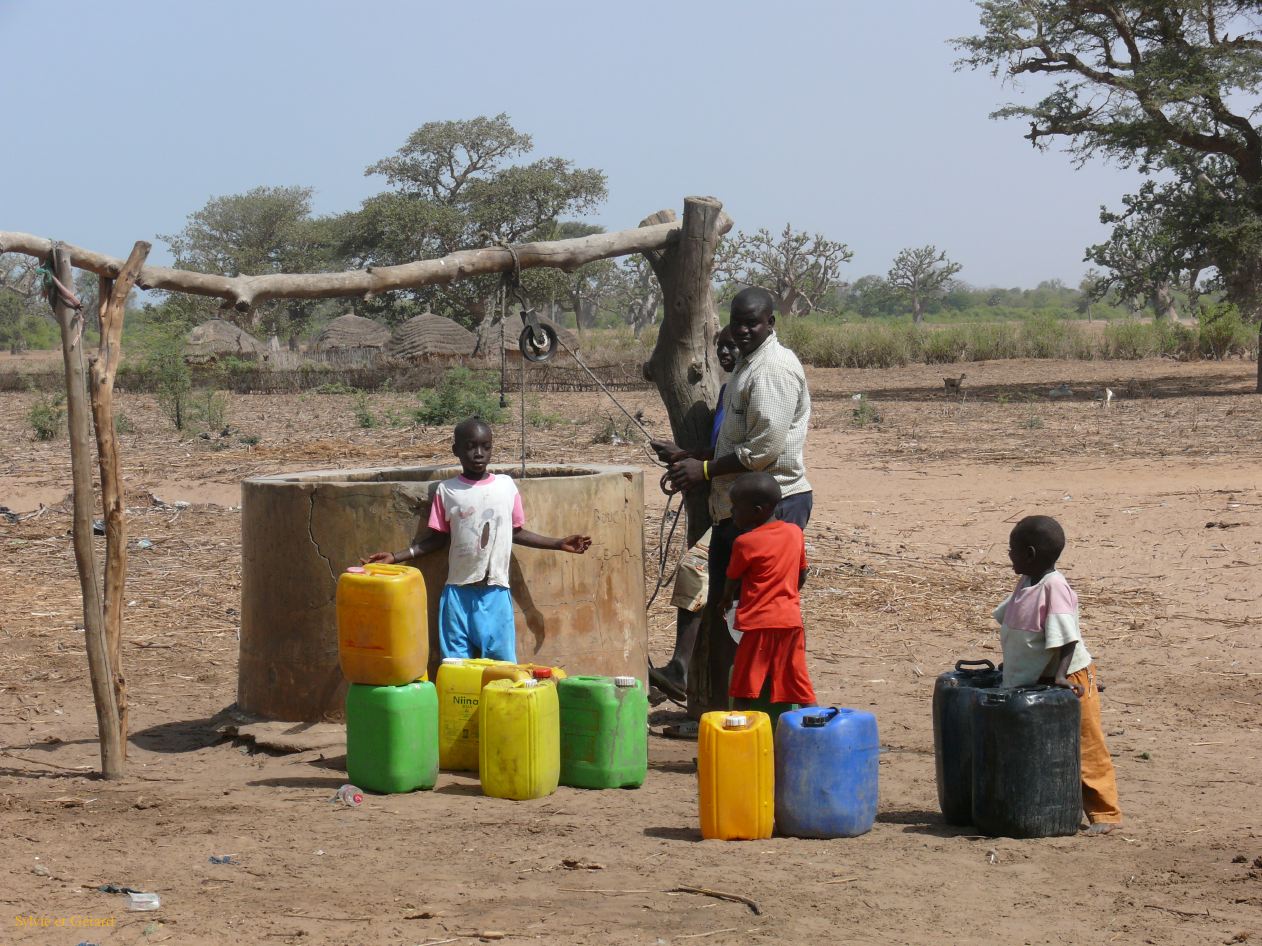 F 21 Nianing le puit du village