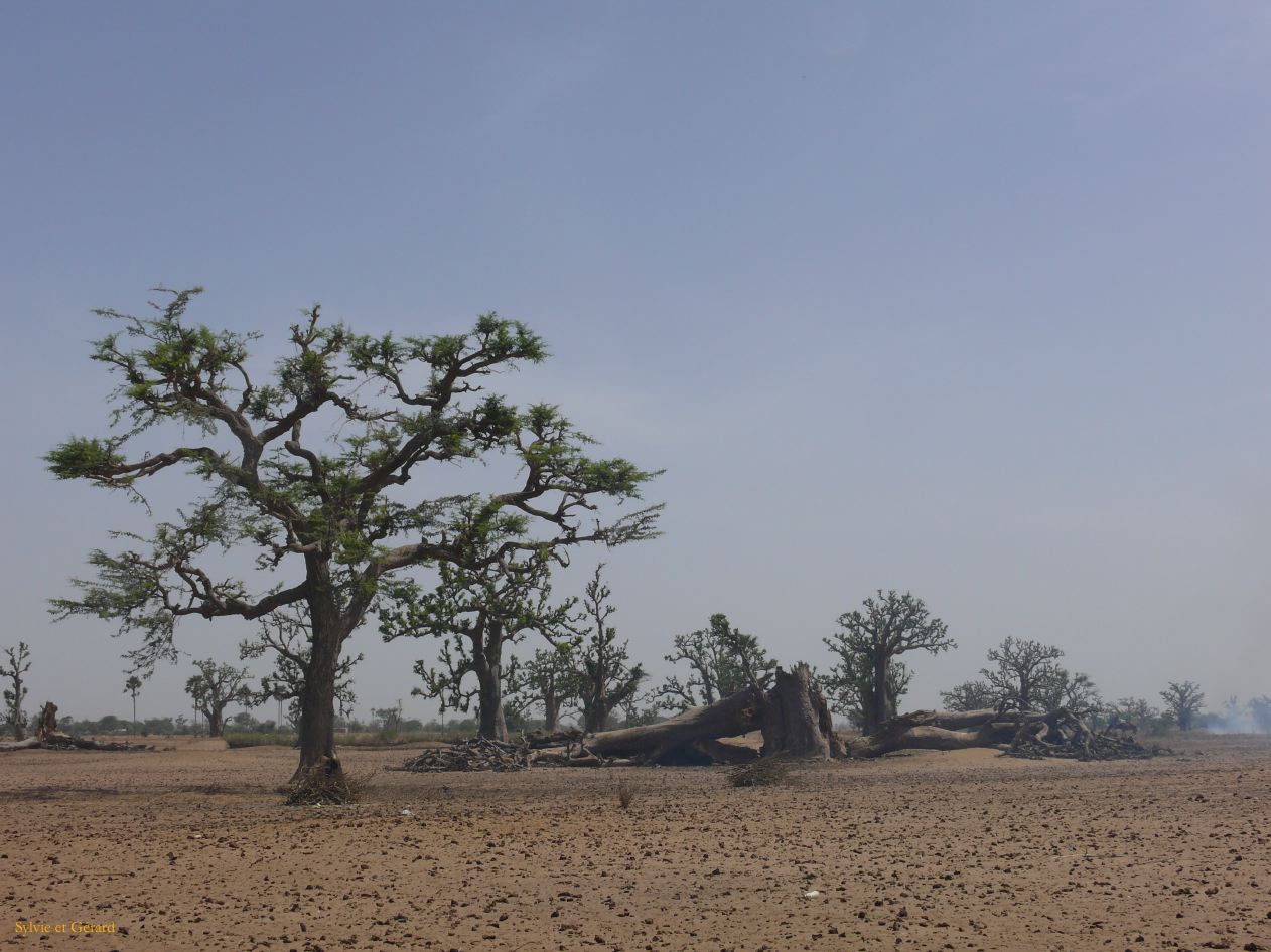 F 23 Nianing villages