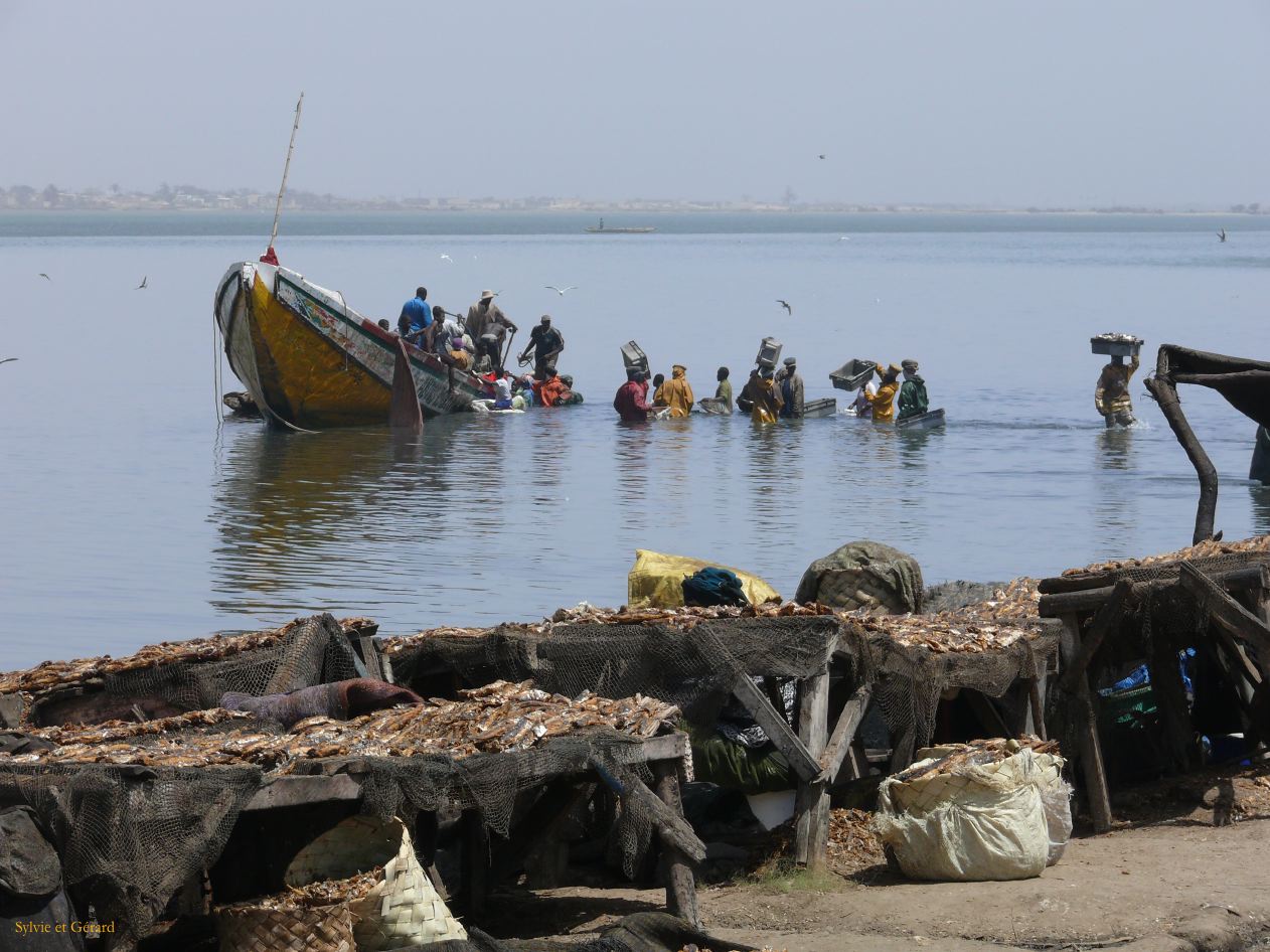G 17 St Louis Guet N'dar port de pèche