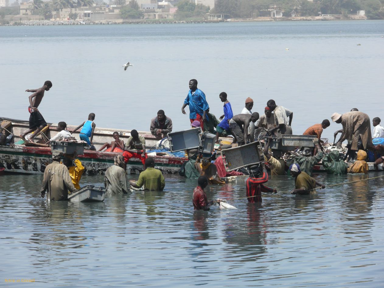 G 18 St Louis arrivée des pêcheurs