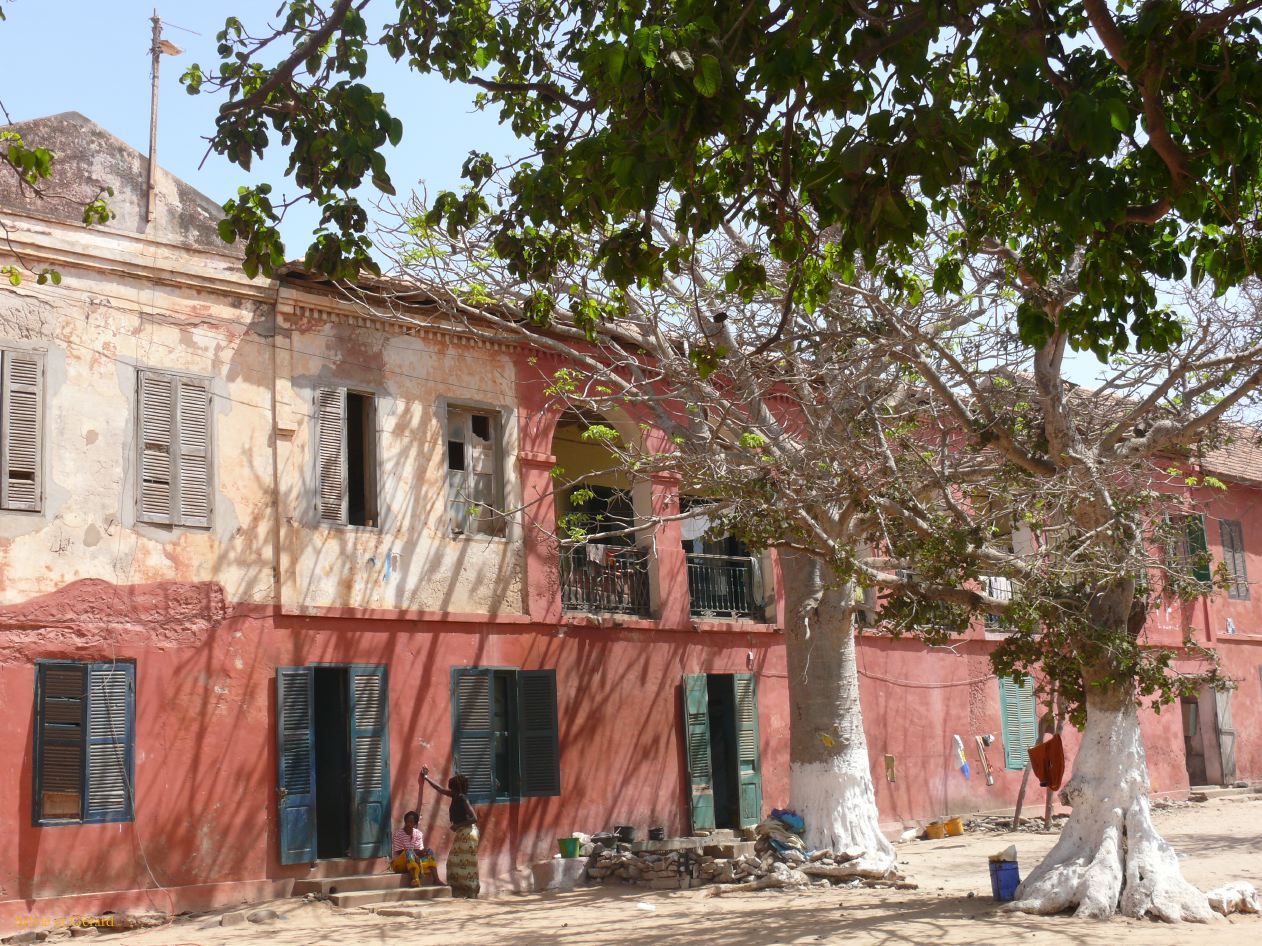 C 05 Ile de Gorée
