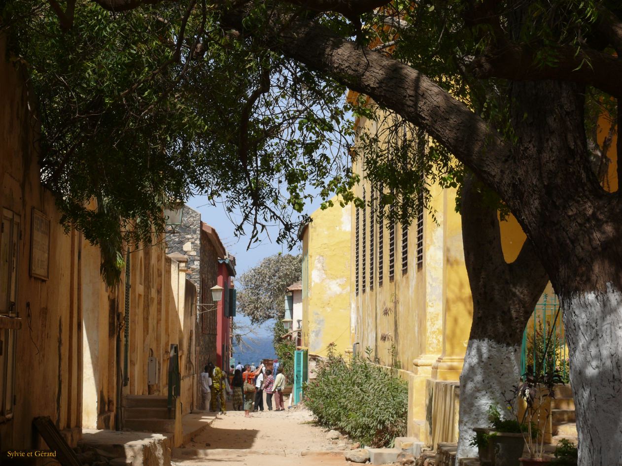 C 06 Ile de Gorée