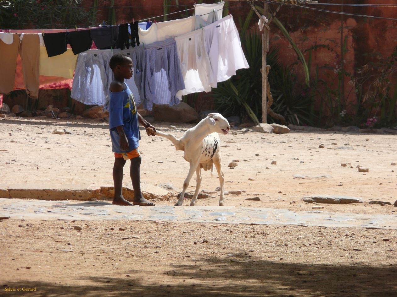 C 07 Ile de Gorée