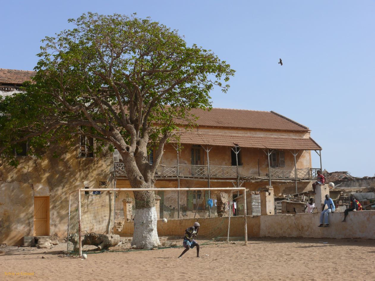C 11 Ile de Gorée