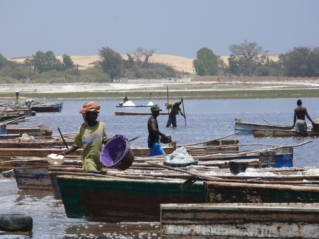 D 03 Lac rose lac salé 300 g de sel par litre d'eau