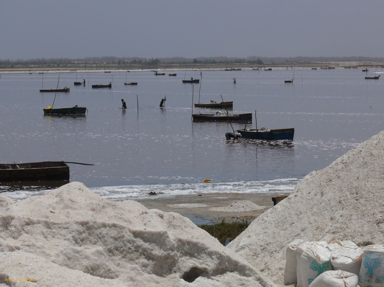 D 06 Lac rose les hommes cassent la croute de sel avec un djodj