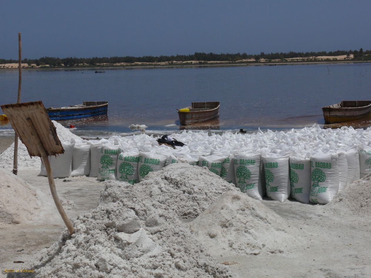 D 10 Lac rose le sel séché est chargé dans des sacs