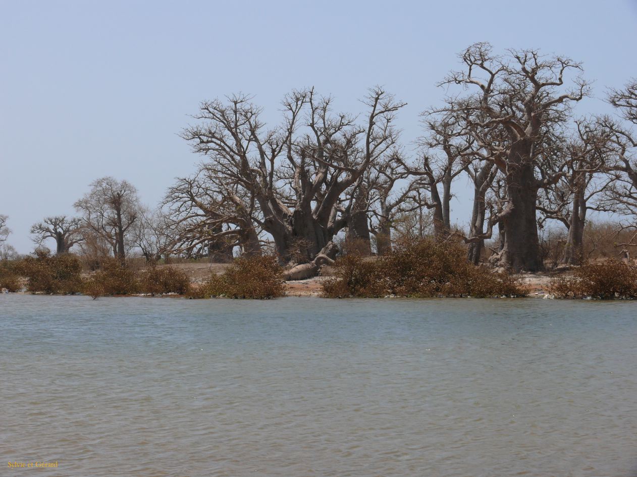 E 01 Le Sine Saloun entre Dakar et la Gambie