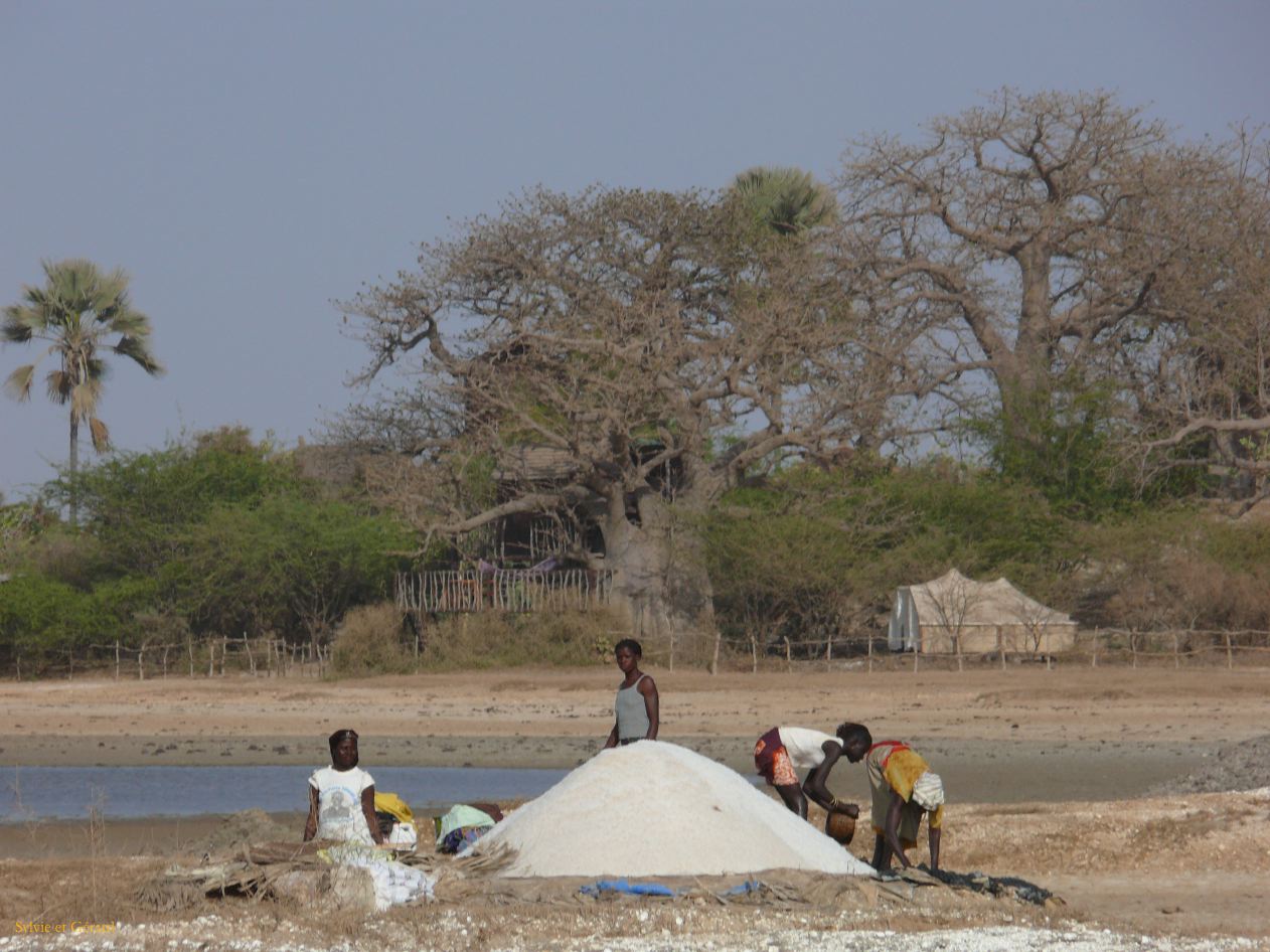 E 06 Le Sine Saloun les salins