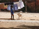 C 07 Ile de Gorée