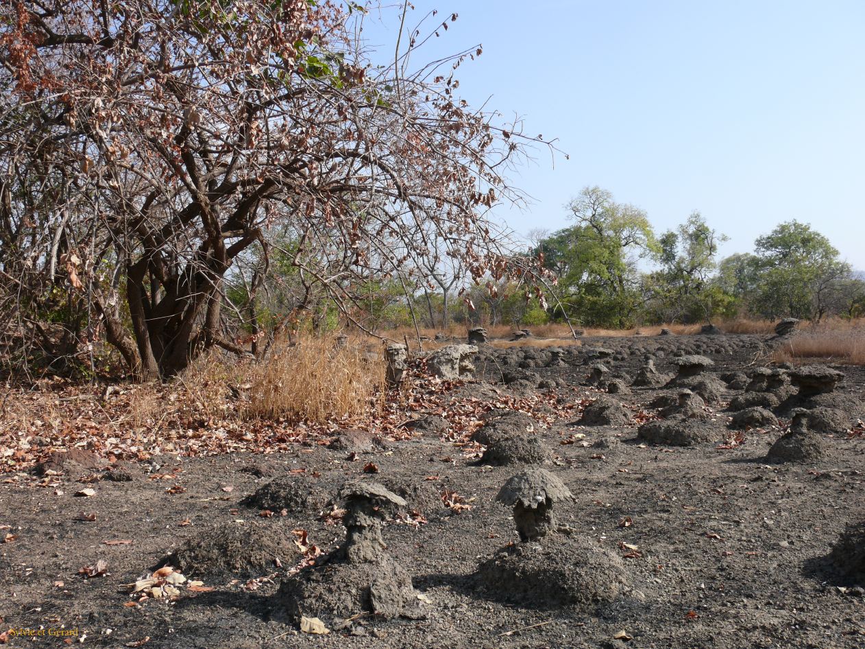 G 03 Vers Kédougou