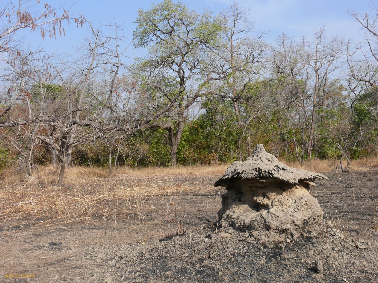 G 04 Vers Kédougou