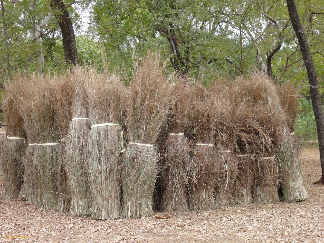 E 30 dans le village Niokolo Koba