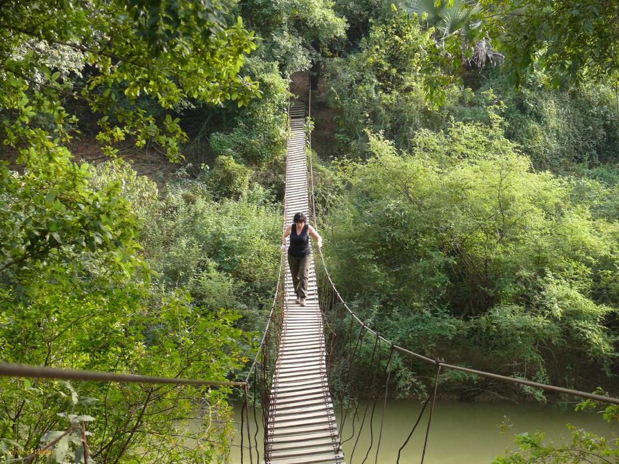 E 33 dans le village Niokolo Koba