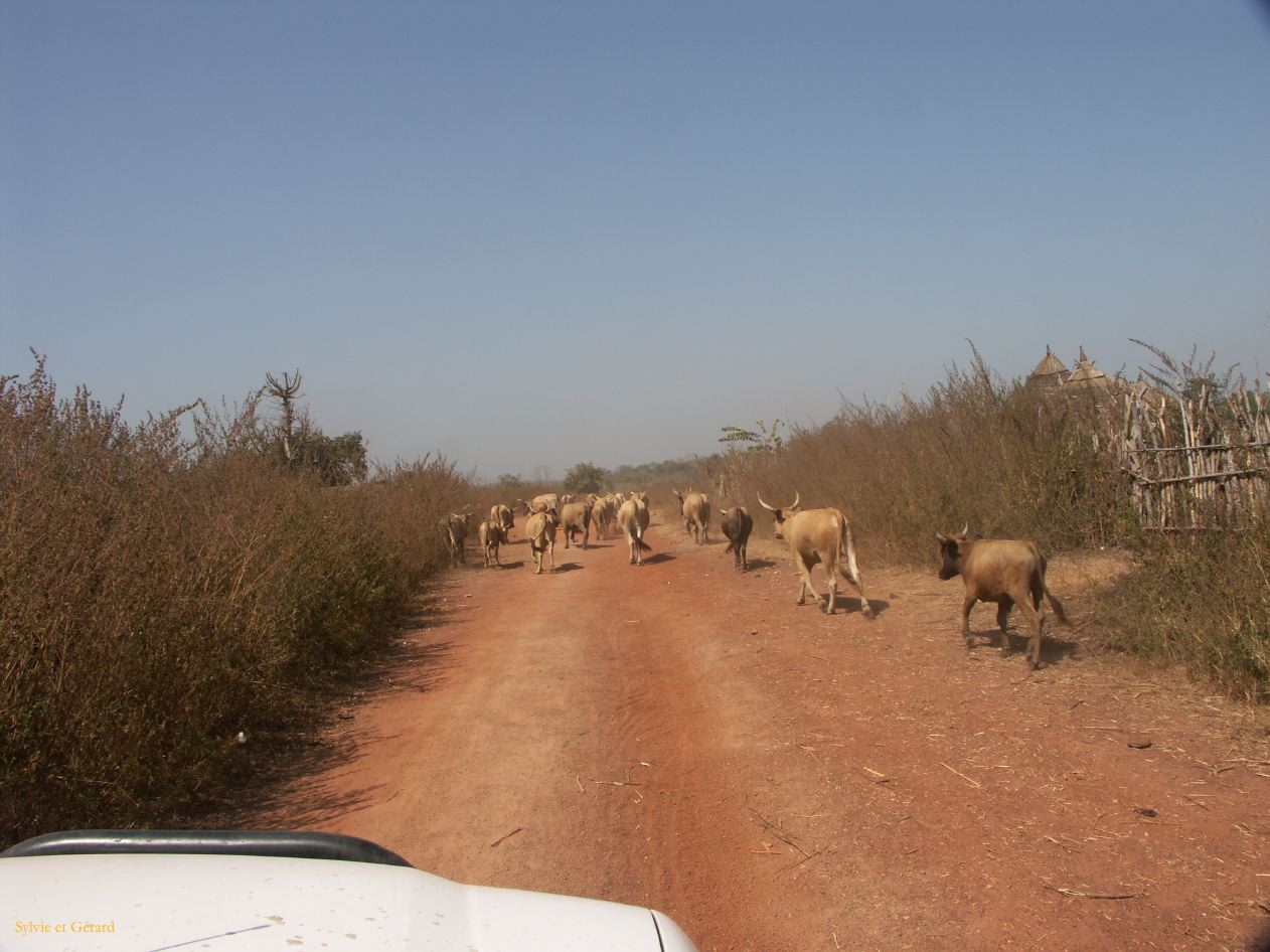 F 02 Vers le Pays Bassari