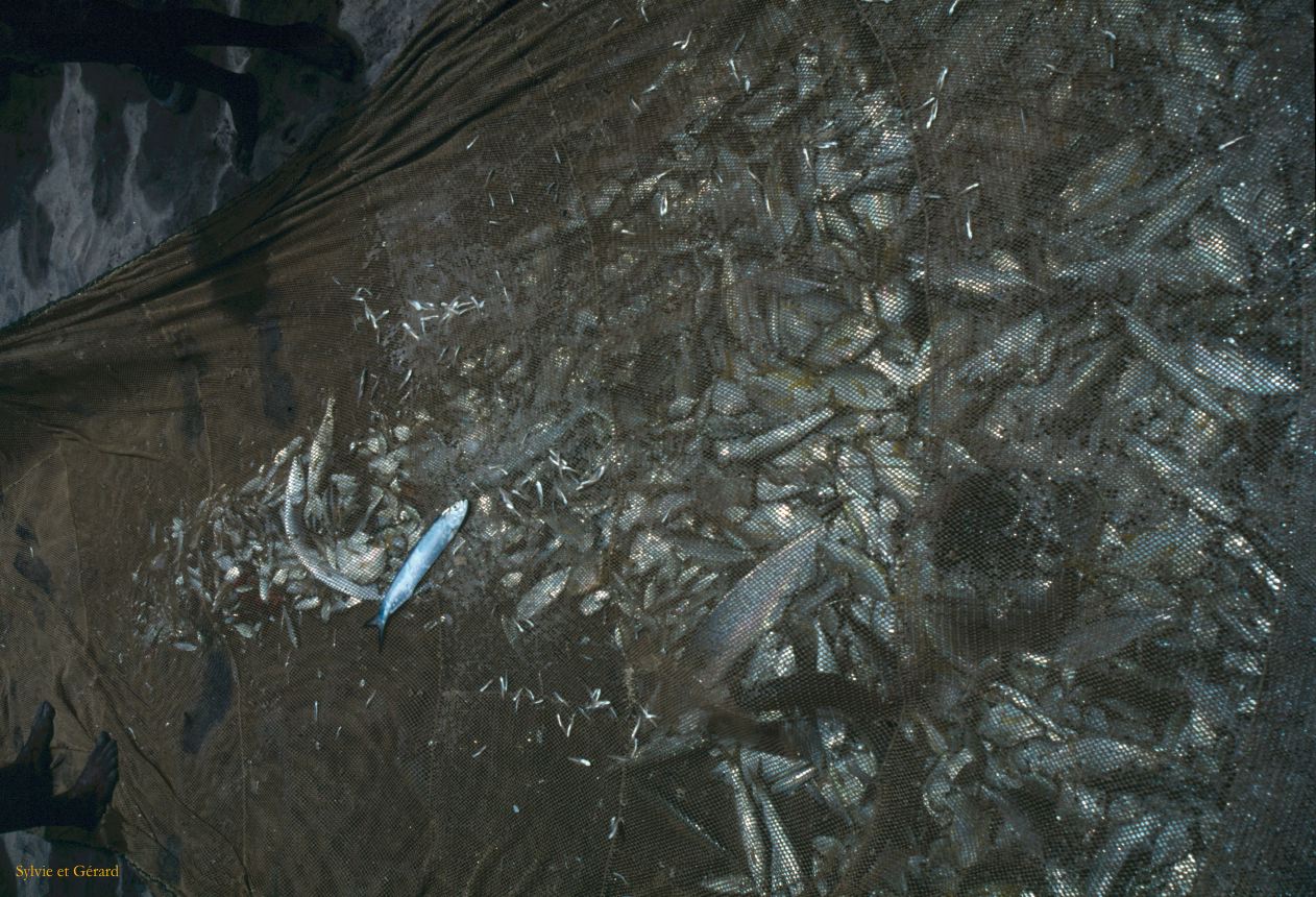 Sri Lanka 1990-107 Bentota pécheurs