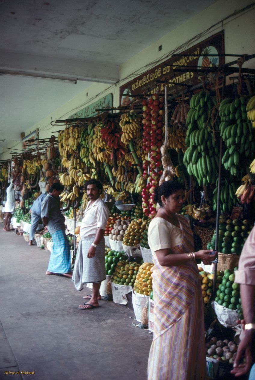 Sri Lanka 1990-143 primeurs