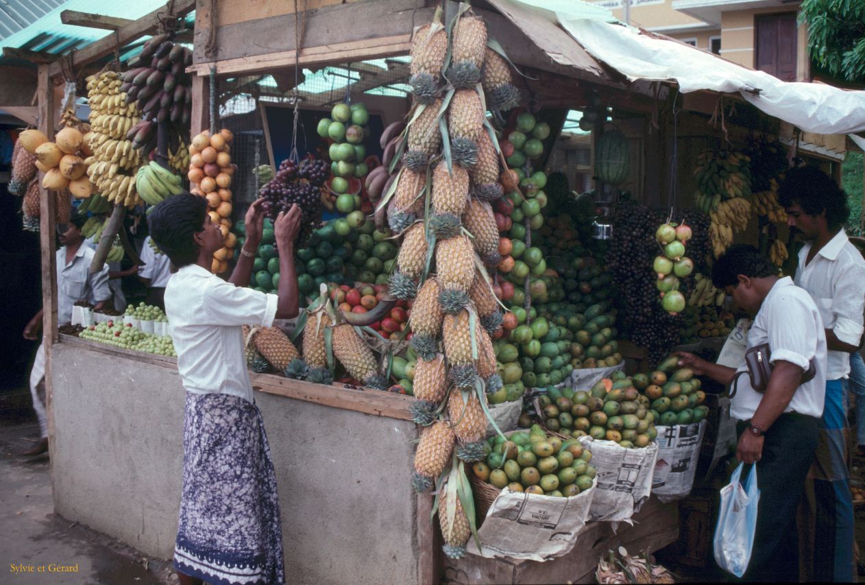 Sri Lanka 1990-144 primeurs