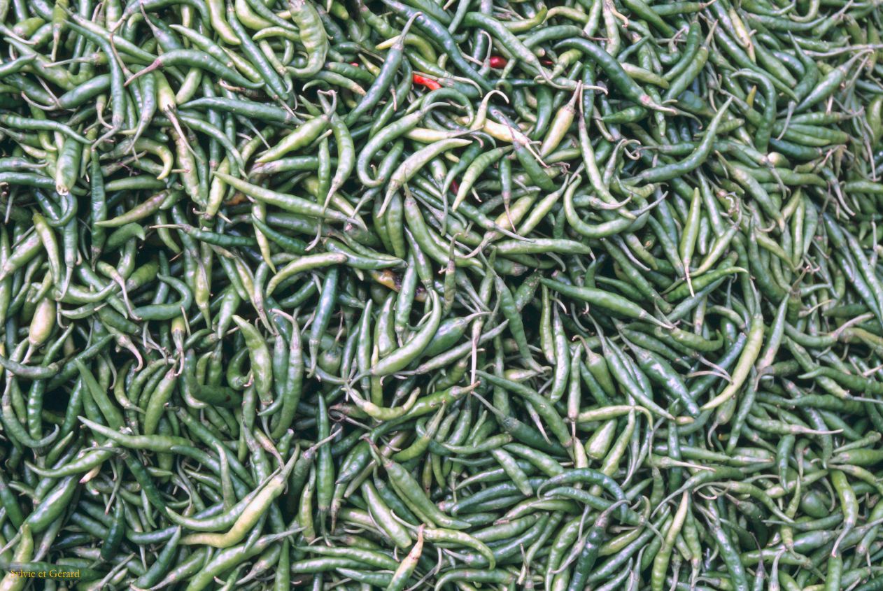 Sri Lanka 1990-146 marché 