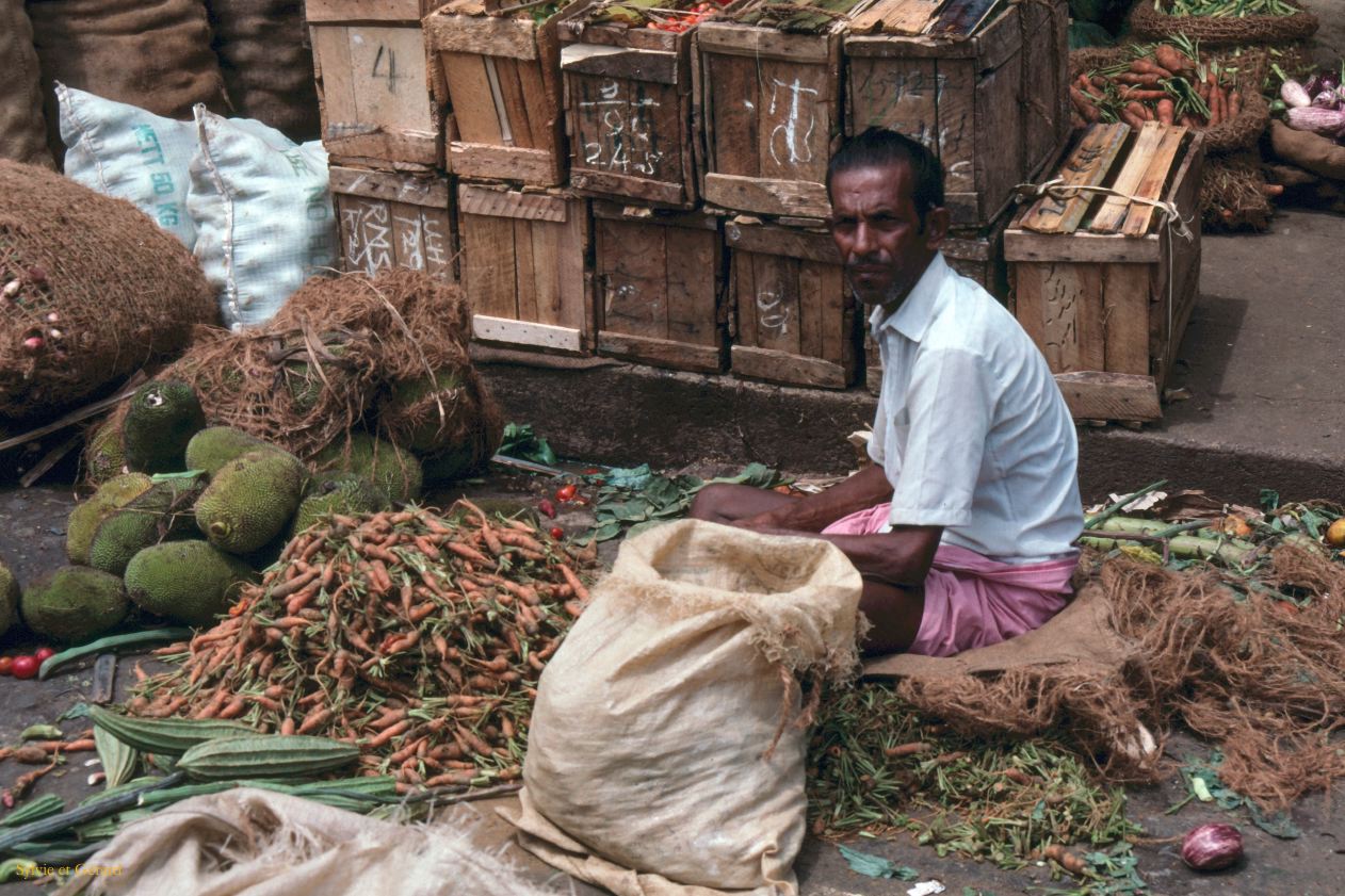 Sri Lanka 1990-147 marché