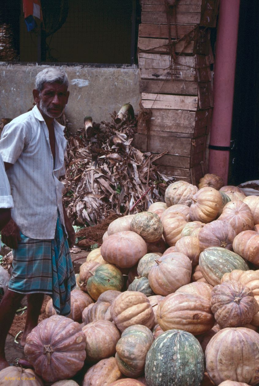 Sri Lanka 1990-149 marché