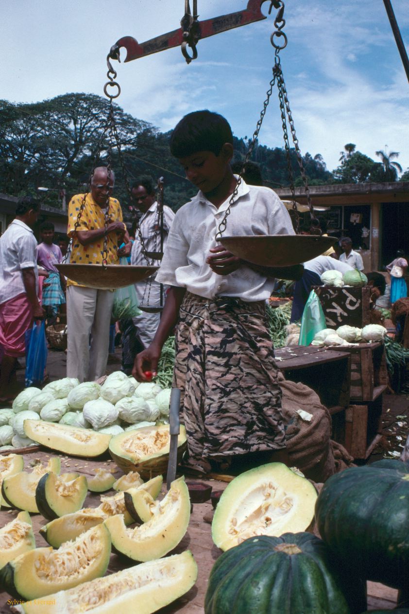 Sri Lanka 1990-151 marché