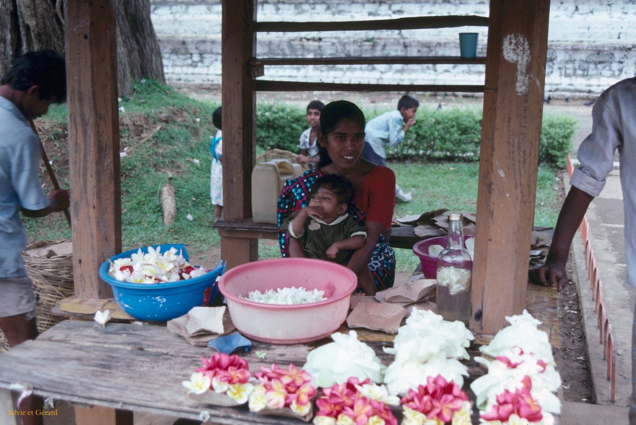 Sri Lanka 1990-160 Kandy marchandes d'offrandes